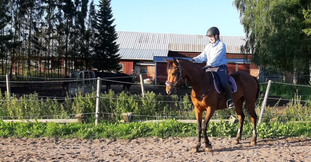 Ratsastaja ja nuori hevonen