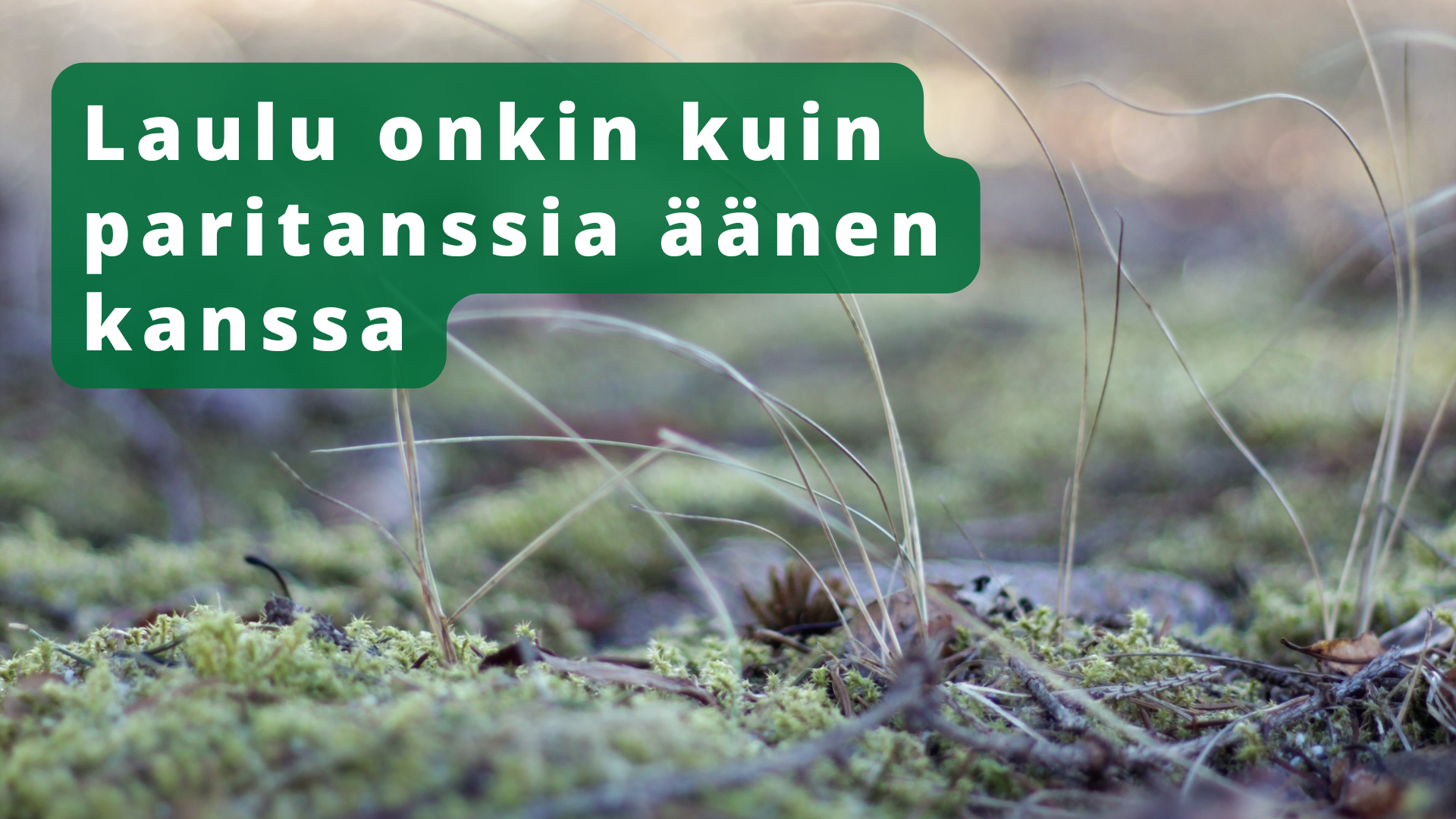 Laulu onkin kuin paritanssia äänen kanssa – viikko 16