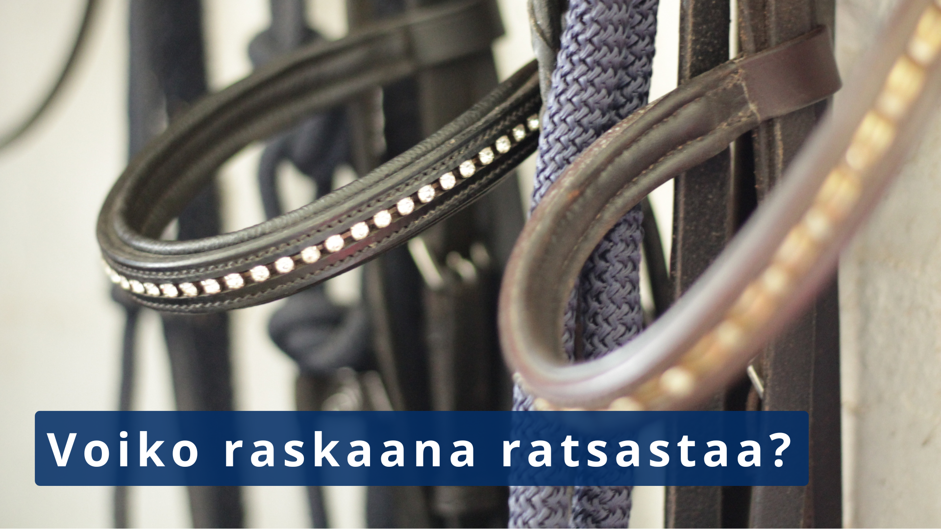 Voiko raskaana ratsastaa?
